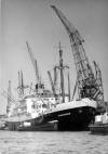 mv Bloemfontein - Holland Afrika Line - in Amsterdam's harbour - 4th June 1954